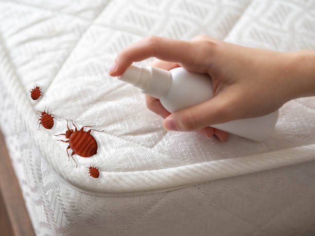 Best Pest Control for Multi-Family Homes  in Garden City, MI